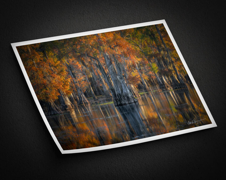 print preview