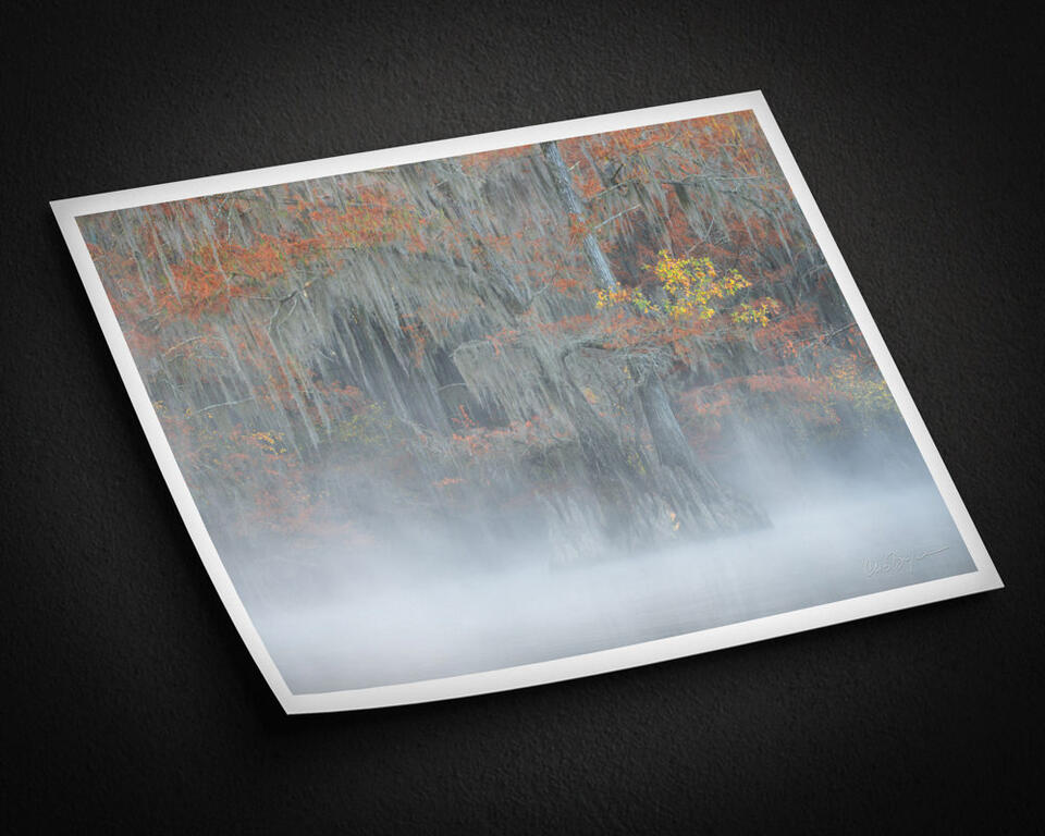 print preview