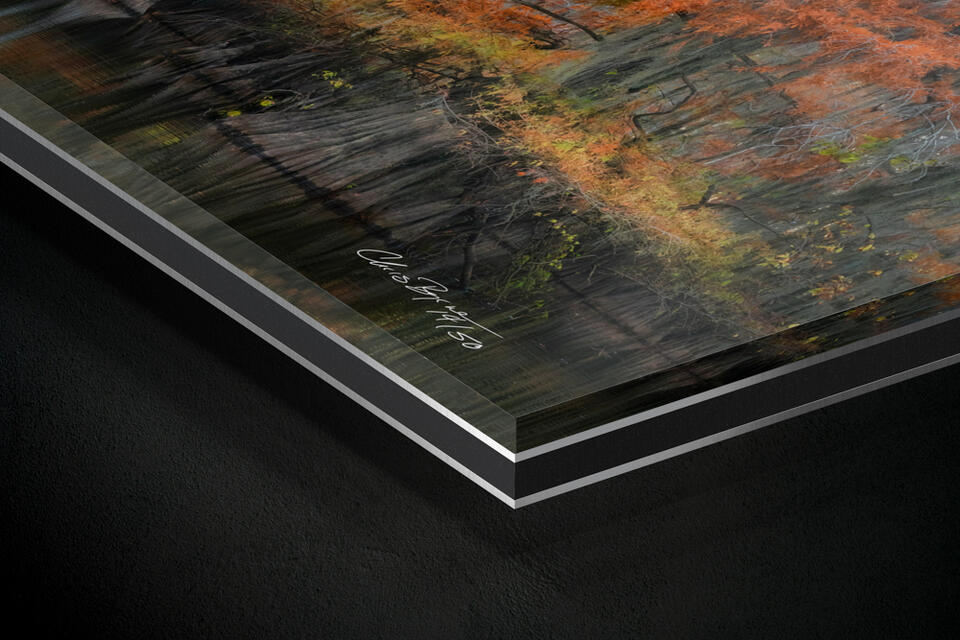 print preview