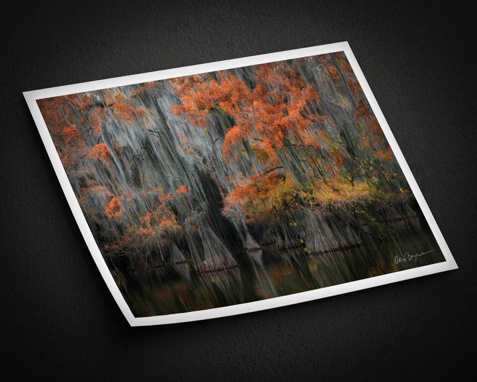 print preview