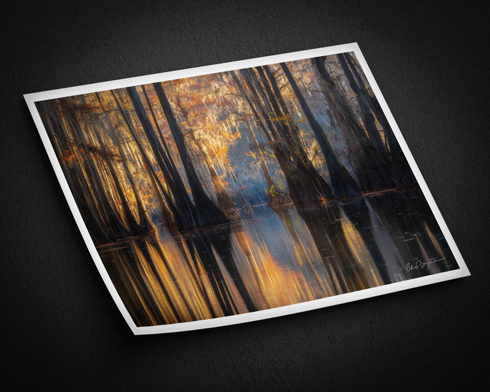  print preview