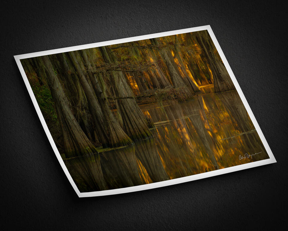  print preview