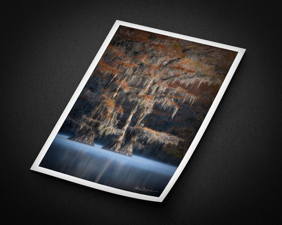  print preview