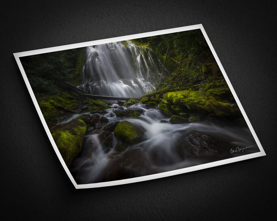  print preview