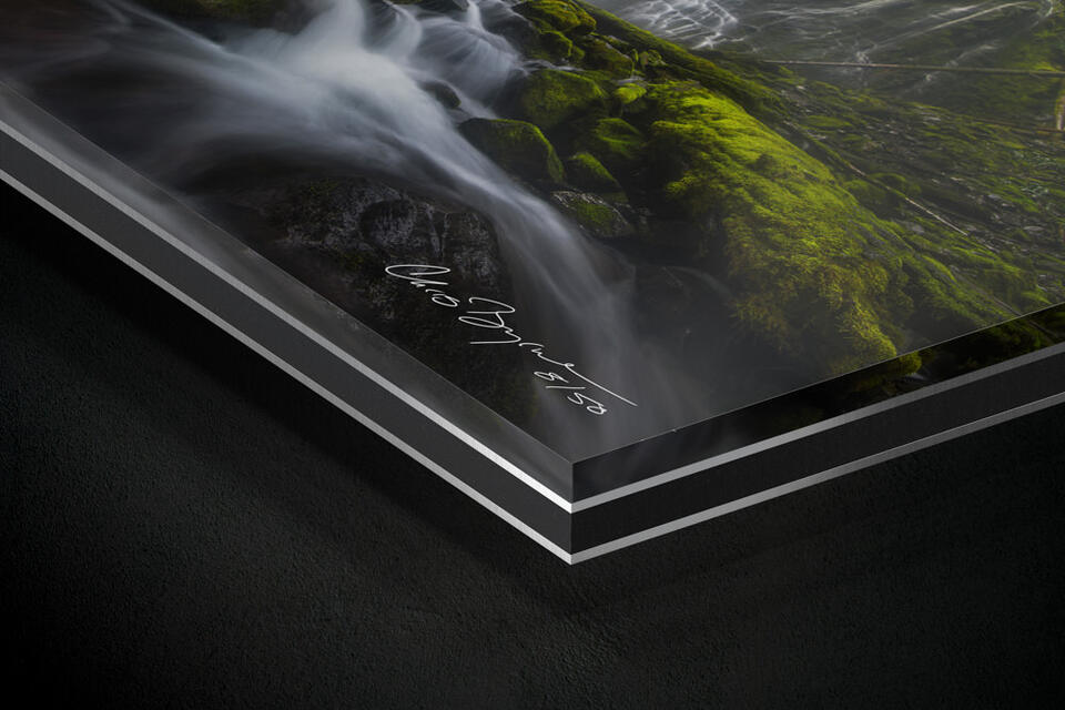  print preview