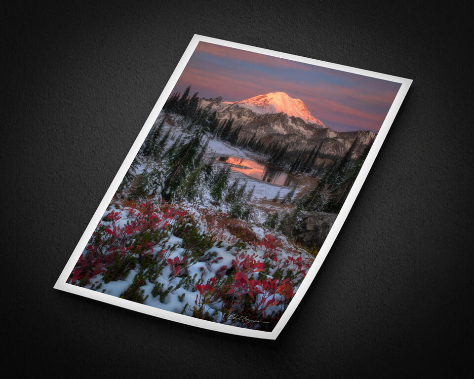 print preview