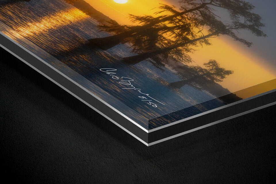  print preview
