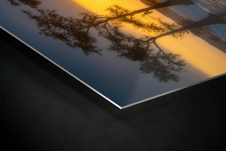  print preview