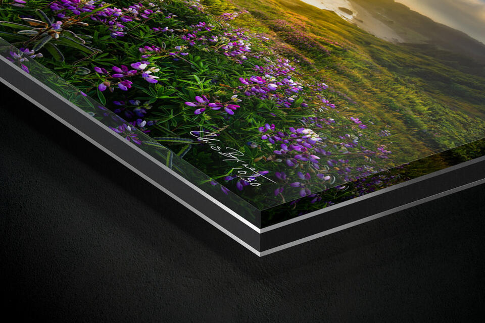 print preview