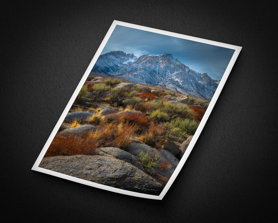 print preview