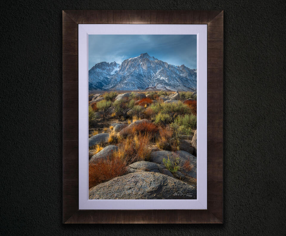 print preview