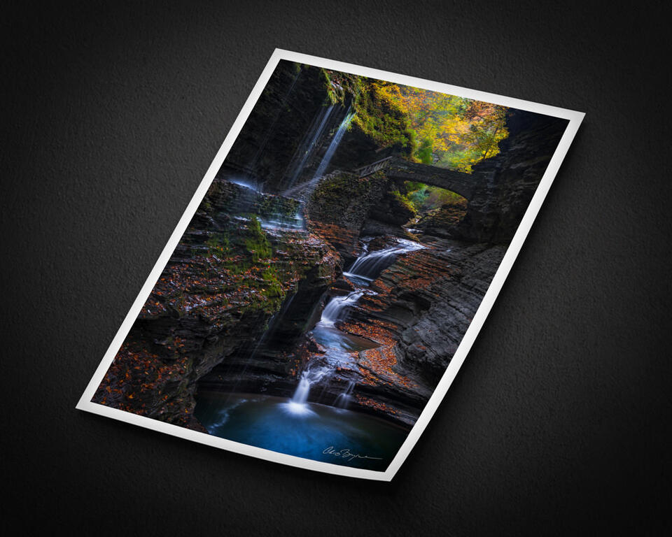 print preview