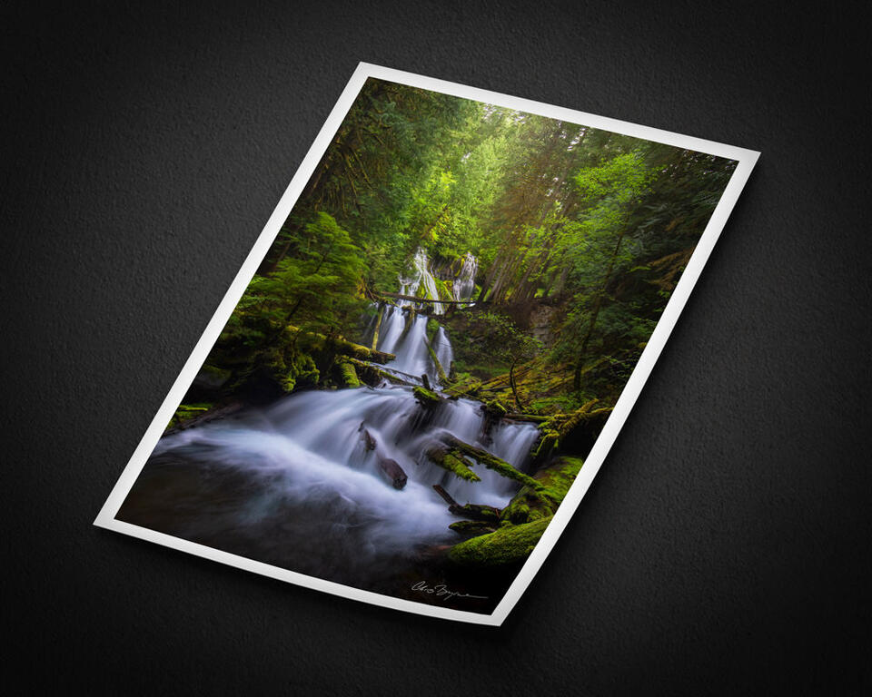 print preview