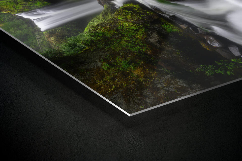 print preview