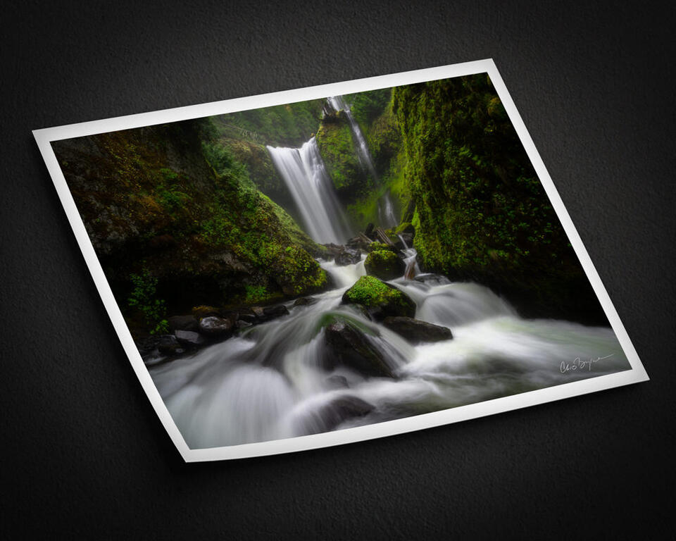 print preview