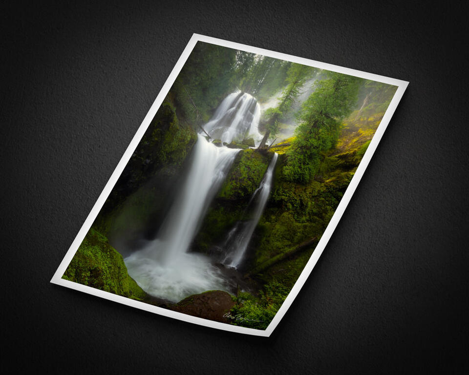  print preview