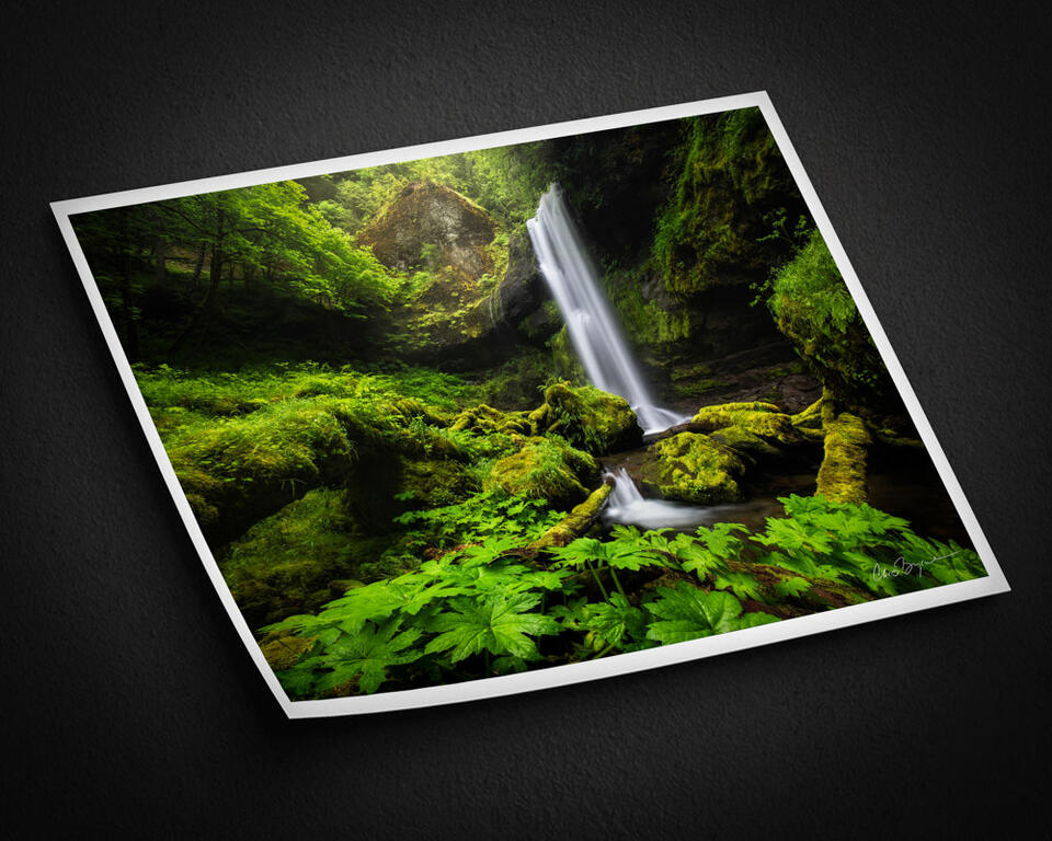  print preview