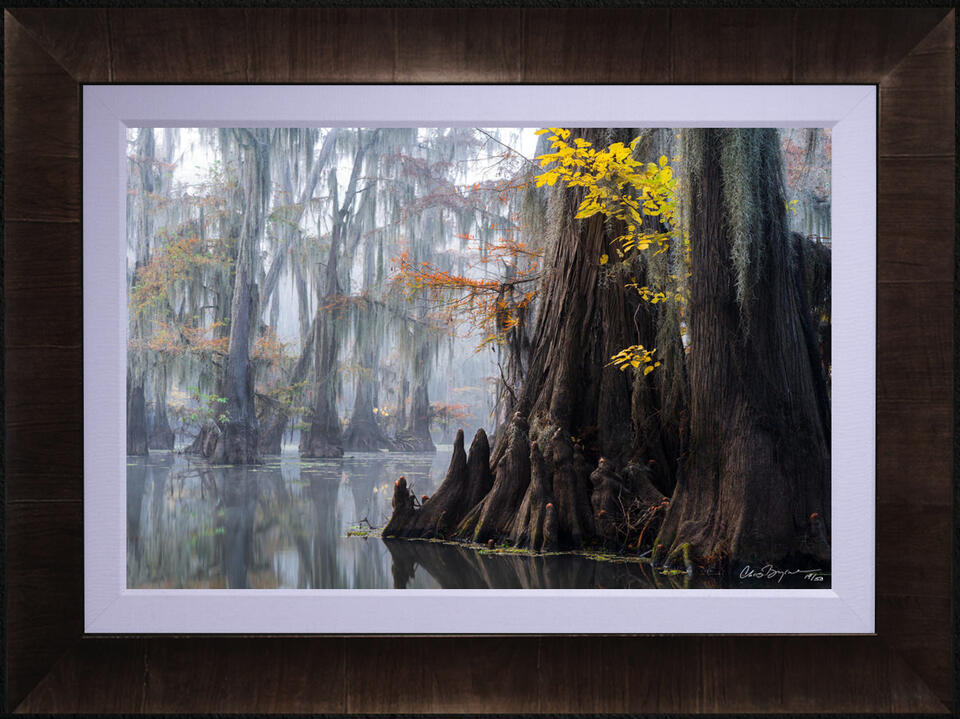 print preview