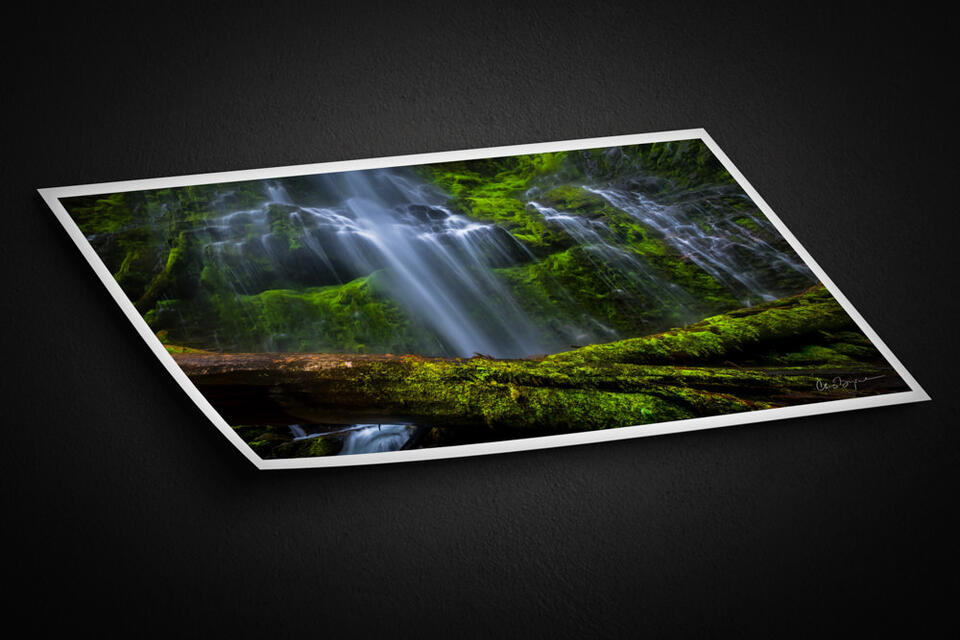 print preview