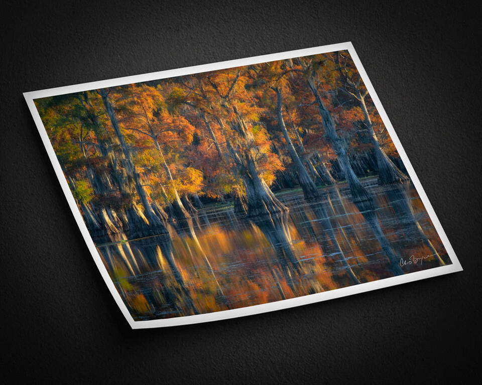 print preview