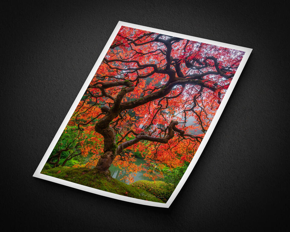 print preview