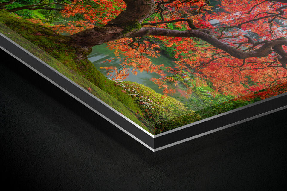 print preview