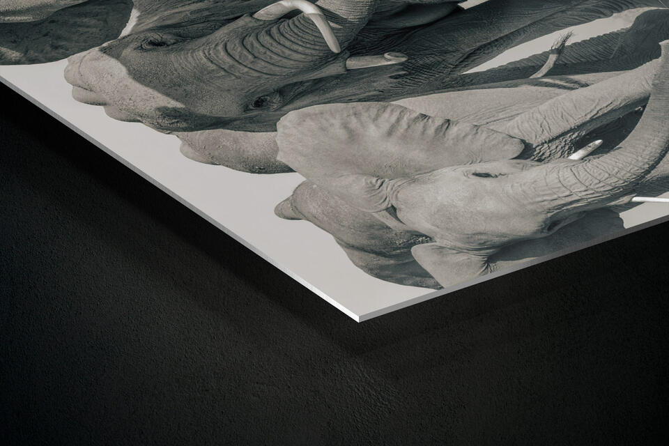  print preview