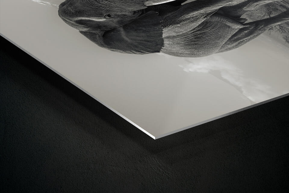 print preview