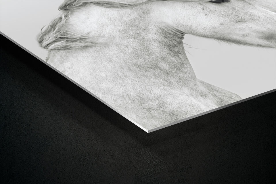 print preview