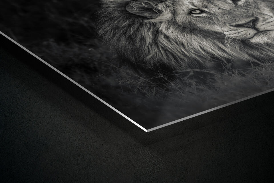 print preview