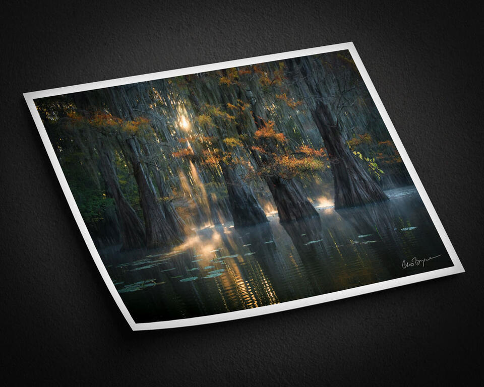 print preview