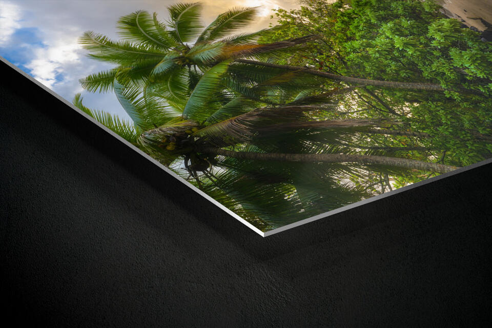 print preview
