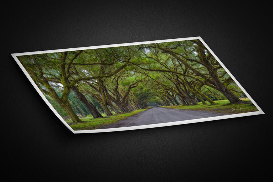  print preview