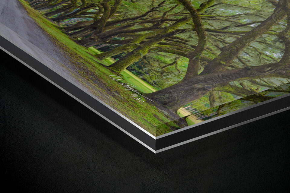  print preview