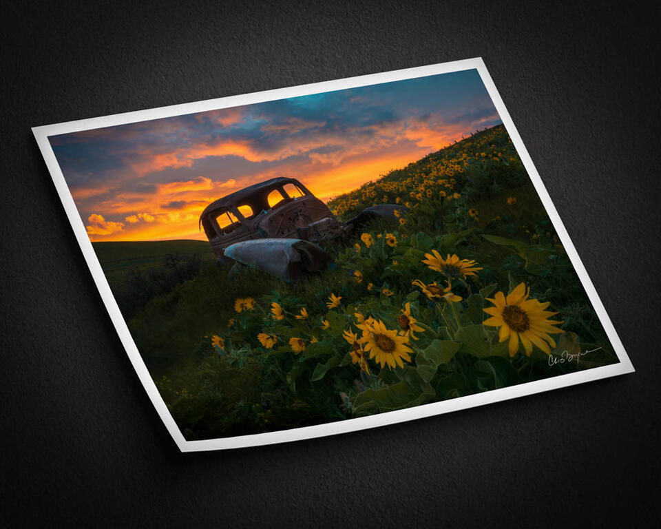 print preview