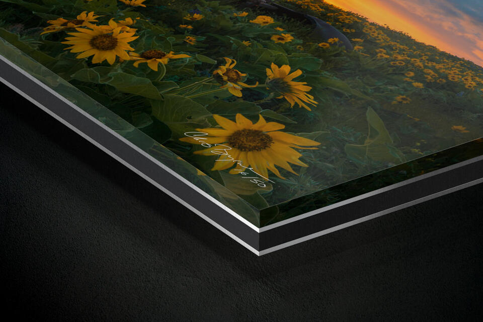 print preview