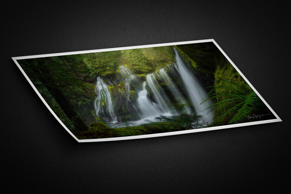  print preview