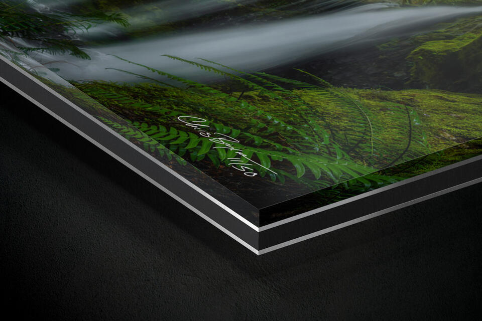  print preview