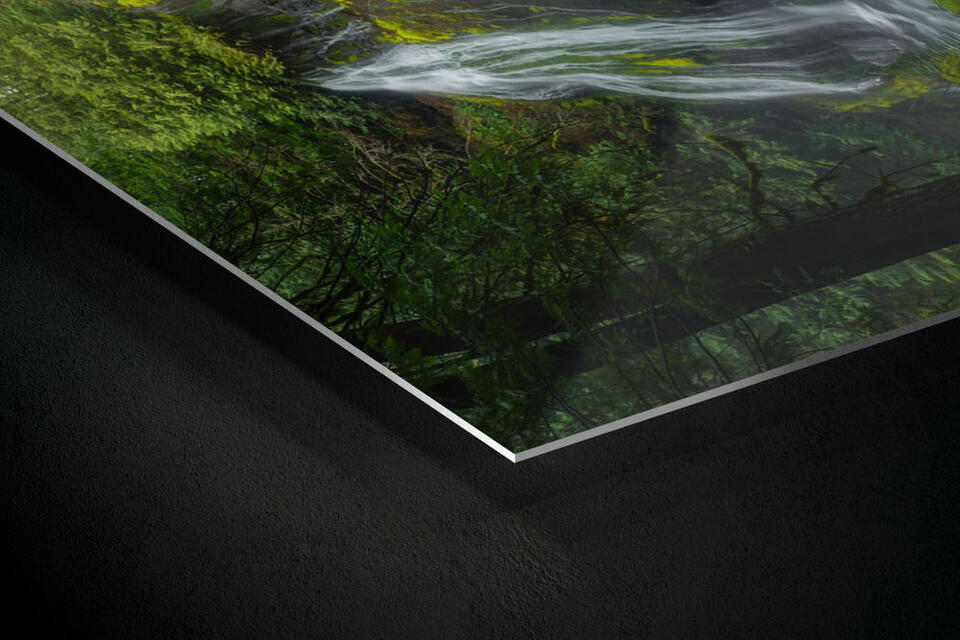 print preview