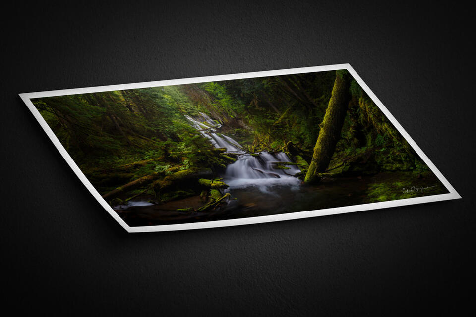 print preview