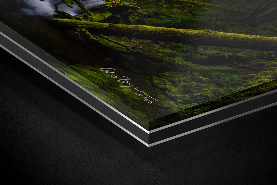 print preview