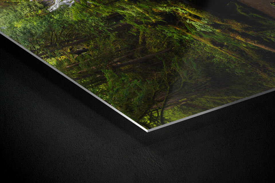 print preview