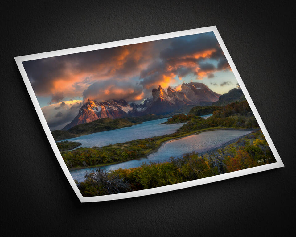  print preview