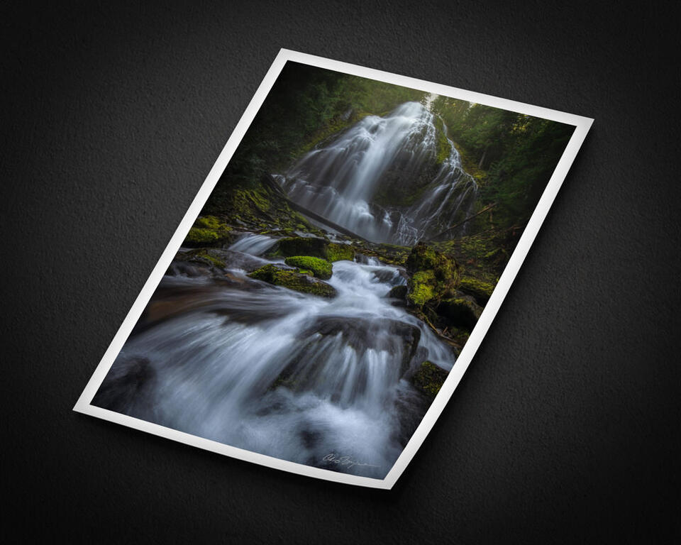  print preview