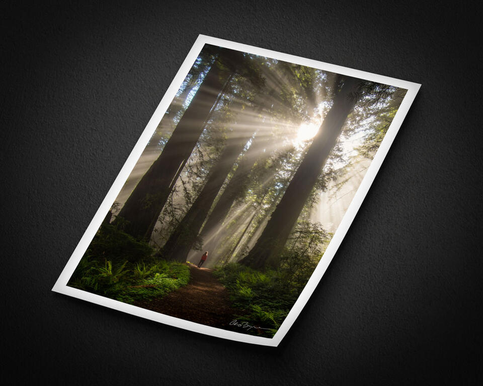 print preview