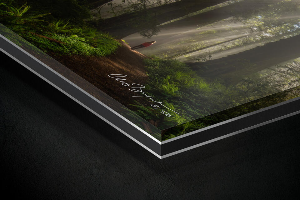 print preview