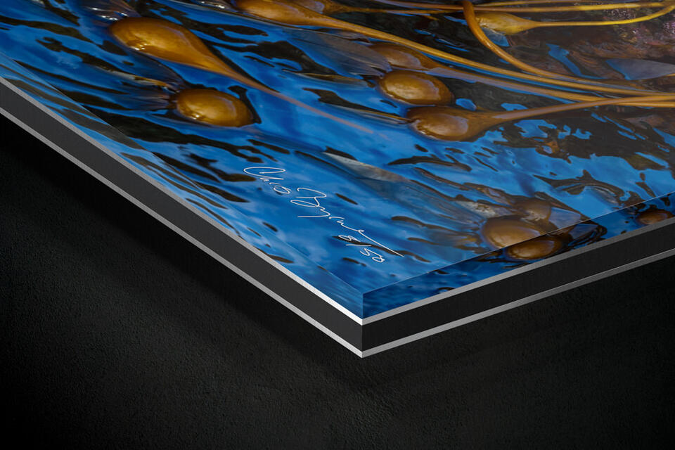  print preview