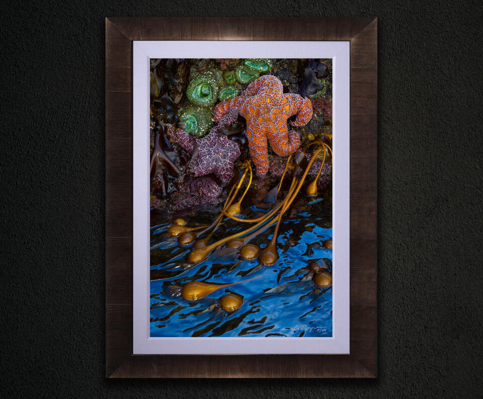  print preview