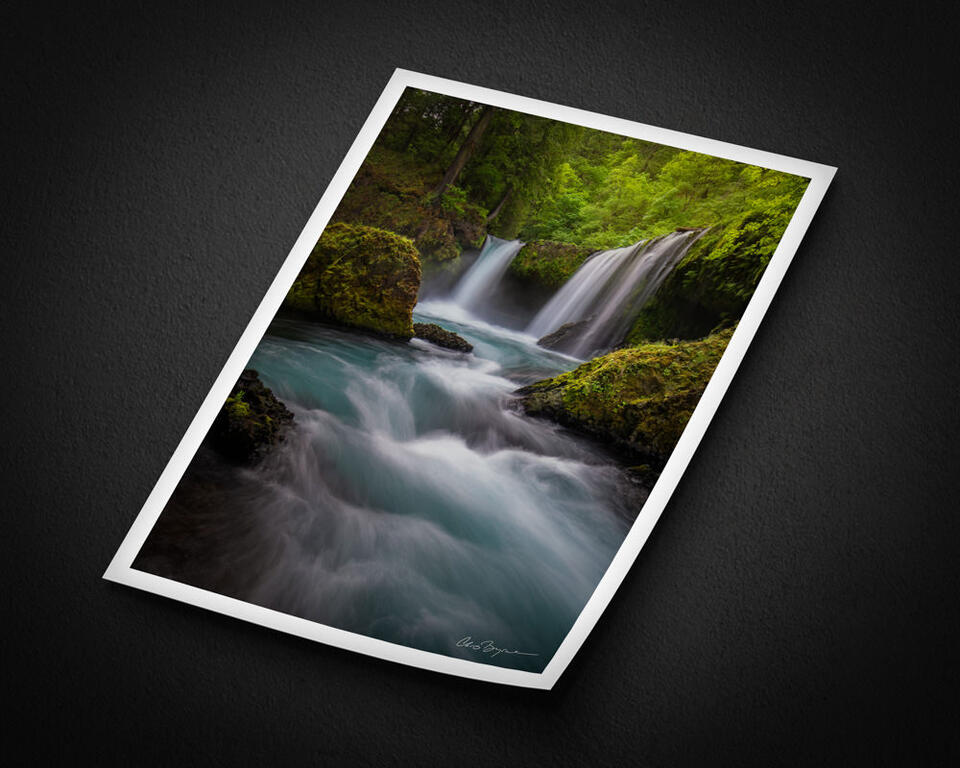 print preview