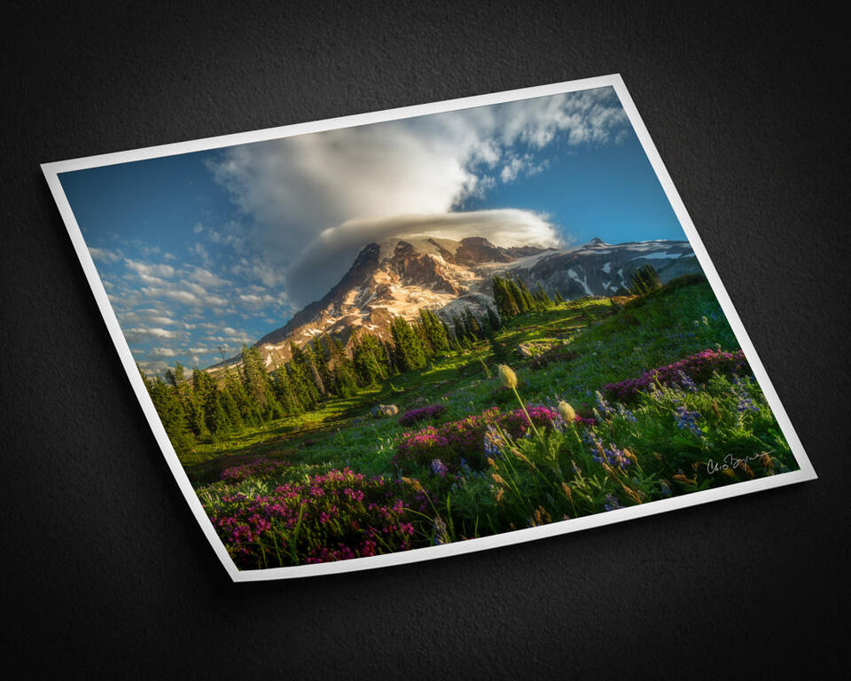 print preview